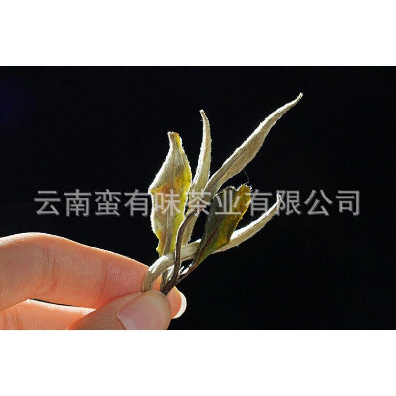 500g Yunnan Jinggu Yangta Ancient Tree White Tea One Bud One Leaf Scattered Tea