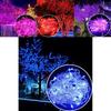 Stunning 10m 100 Led Christmas Fairy String Light For Captivating Festive Displays