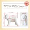 Ninian and Kino Realistic Toy Poodle Plush Toy Freely Approximately 33cm Lifelike Pet (White) - Poseable, Long,