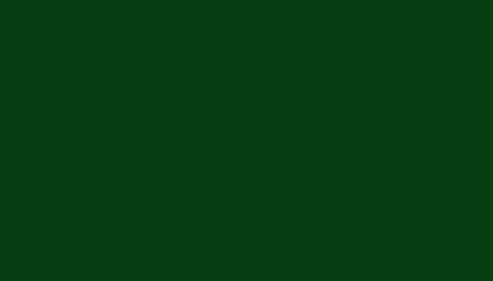 Dupli-Color 7-0400 Аэрозоль 400мл Травянисто-зеленый Универсальный лак