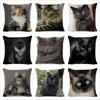 Black Cat Cushion Cover Square Pillowcase Home Car Sofa Decorative Pillowcase Decorative Pillowcase