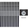 Beginner's Charcoal and Carbon Sketch Pencil Set: 2B & 4B Soft, Thick Drawing Pencils for Art Students
