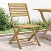 VidaXL Set of 2 Folding Garden Chairs, Seats with Backrest, Outdoor Patio Terrace Furniture, Modern, Solid Wood 365739