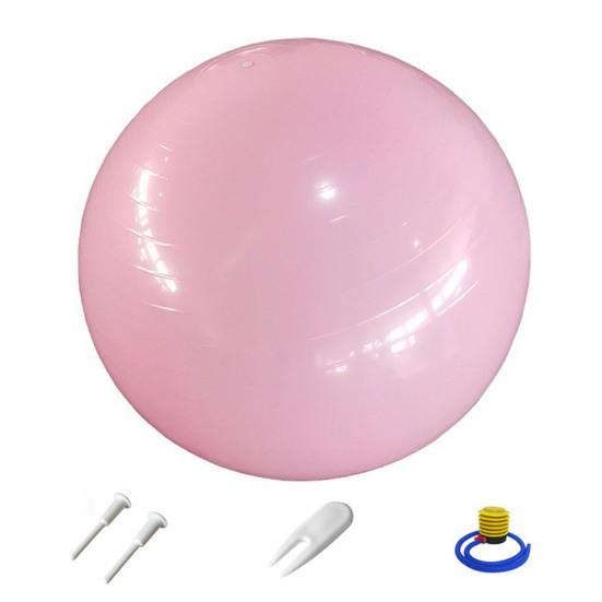 55/65/75CM Yoga Ball with Air Pump Anti-slip Physical Therapy PVC Fitness Balance Ball Pregnancy Birthing Ball Gym Workout Stability Ball