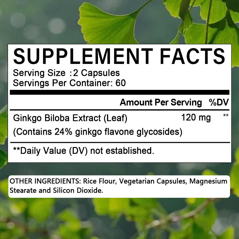 Ginkgo Biloba Extract 120 Mg Dietary Supplement, 120 Capsules Per Bottle