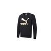Classics Casual Print Crew Neck Sweatshirt Men Sweatshirts Black Gold 599296-51