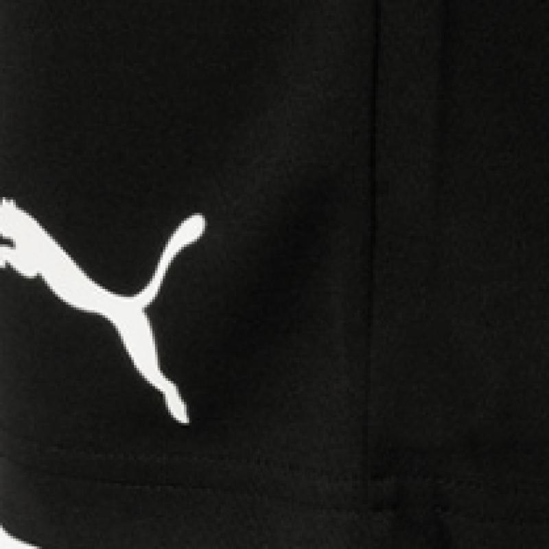 Puma Galleria Puma Sportswear Team Rise Тренировочный костюм Шорты Азия Сп