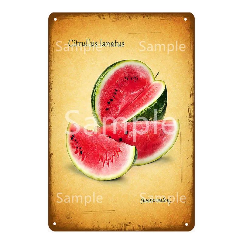 Памятная доска Thatchers Фрукты Бананы Металлическая вывеска Винтажное украшение фермы Домашний декор Наклейка на стену Магазин Живопись Постер для ресторана YL168