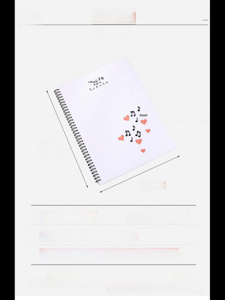 Папка для рисования и нот с прозрачным вкладышем формата А4