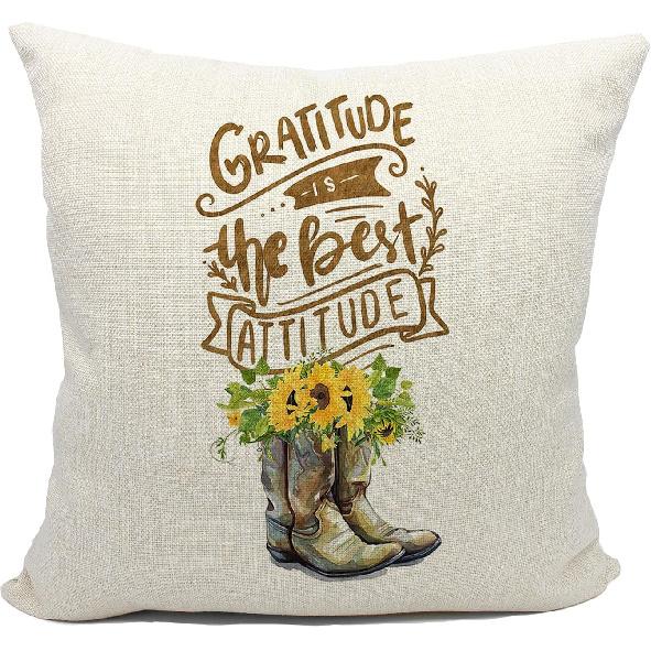 Mancheng-zi Retro Western Country Cowgirl Flower Boot Got a Dirt on My Boots Throw Pillow Cover,Teen Girls Women Cowgirl Gifts,18 x 18''Western