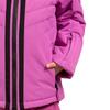 Womens/Ladies Annalisa Ski Jacket