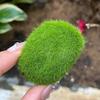 Micro Landscape Decor Artificial Moss Rocks Green Fake Moss Stone  Outdoor Decor