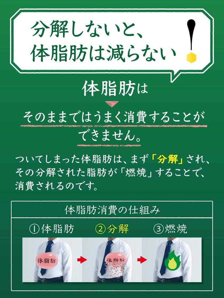 Suntory Food for Specified Health Use Iyemon Tokucha Labelless 500 мл x 24 бутылки [TOKUHO]
