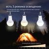 Zaya Desk Lamp
