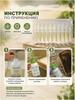 Bee Treatment Product