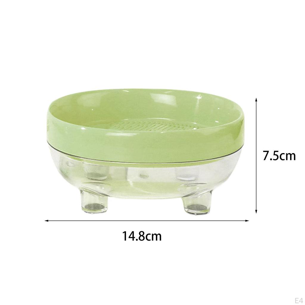 Cat Grass Box Seed Tray Easy To Plant Growing Planter Catnip Cultivation for