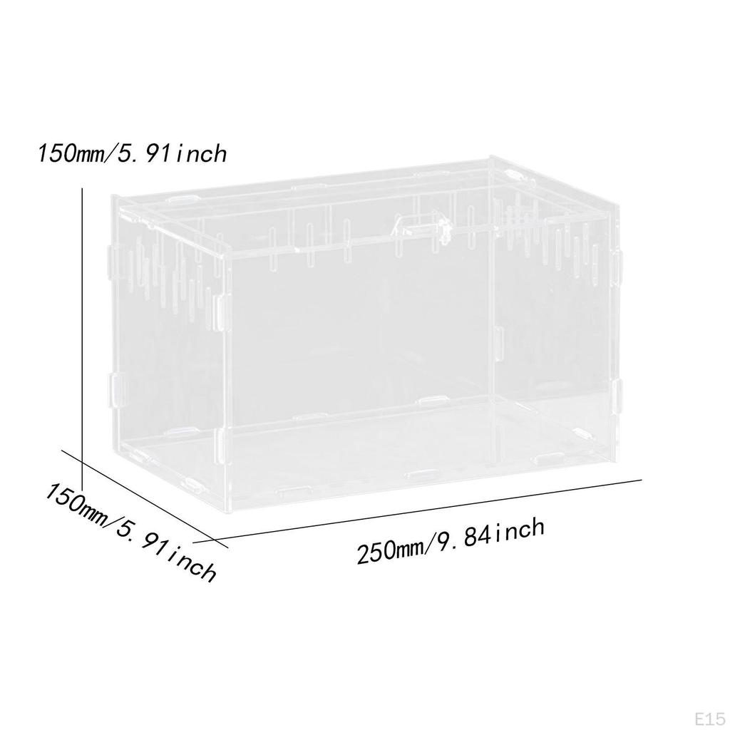 Reptile Breeding Box Animal Habitat Cage Clear Terrarium Enclosure for Geckos Young
