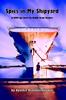 Книга Spies In My Shipyard