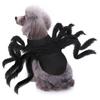 Halloween Pet Costume Cute Spider Legs Pet Apparel Unique Puppy Cat Dress Up Accessories for Home Party Halloween Events