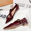 Fashion 2025 Spring Vintage Women Pointed Toe Mary Jane Shoes Fashion Shallow Thick Heel Wedding Party Shoes