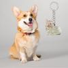 Clear Pet Hair Memorial Storage Box Keepsakes Keychain For Dog Lover Pet Furs Collector Keychain Accessories Gift