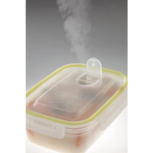 Iwasaki Industries Smart Flap & Rocks Storage Containers, Square, Large, Set of 2, Green, 900ml