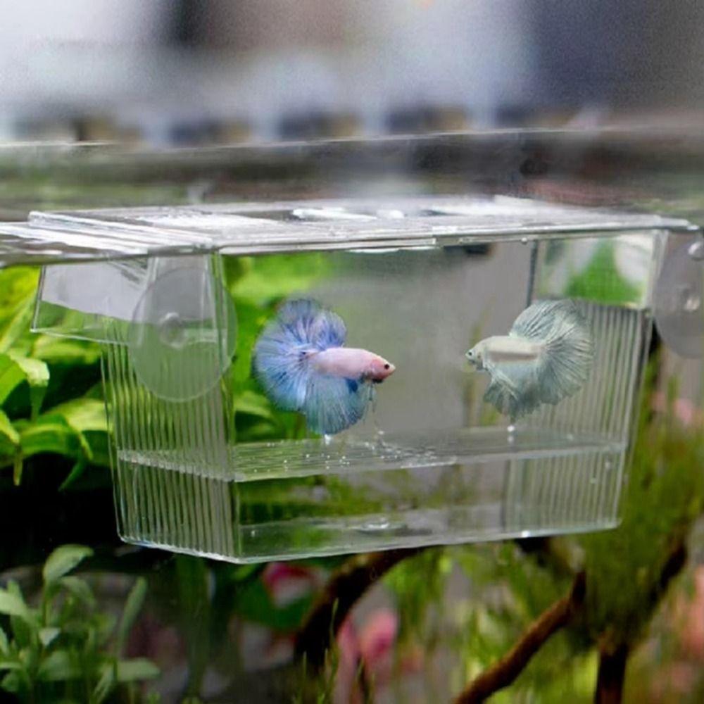 Aquarium Fish Tank Breeding Acrylic Aquarium New Breeder Isolation Box