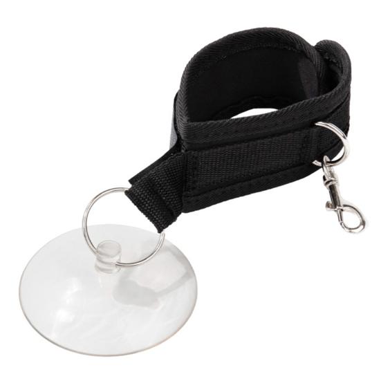 Pet Grooming Suction Cup Holder Adjustable Dog Bathing Restraint Loop Leash for Dogs And Cats Nail Trimming Shower Bathing