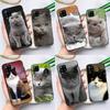 British Shorthair Cat Case For Samsung Galaxy A54 A34 A13 A23 A33 A53 A73 A12 A22 A32 A52 A51 A71 A14 Cover