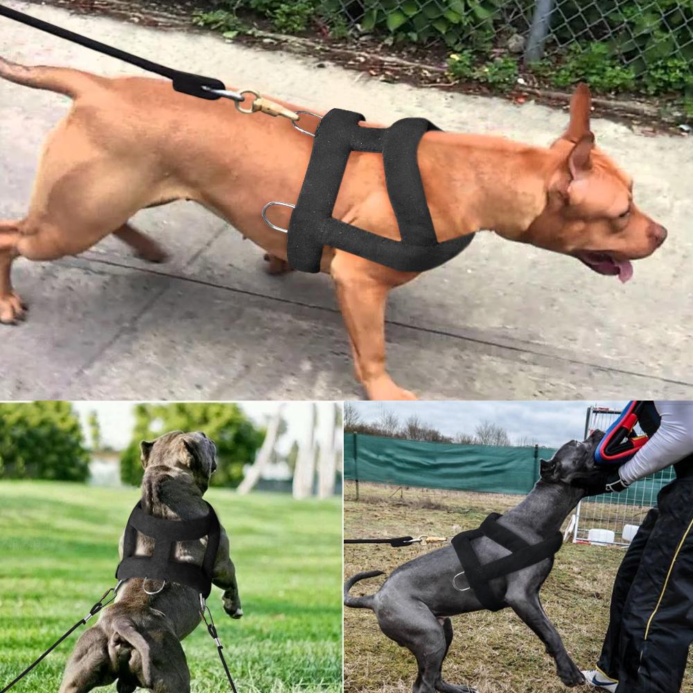 Упряжь для собак с мягкой подкладкой Упряжь для собак Pitbull Big Large Dogs Упряжь для дрессировки домашних животных Товары для ловкости домашних животных