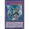 Yu-Gi-Oh! RC03-JP020 Dragon Knight Dark Magician Girl (Japanese Edition Secret Rare) Rarity Collection - Premium Gold Edition