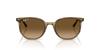 Солнцезащитные очки 0RB2197F ELLIOT STRIPED GREEN POLAR BROWN GRADIENT 54мм Азиатская посадка Поляризованные Ray-Ban
