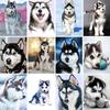 5D DIY полная круглая алмазная картина ";животное"; Собака Алмазная вышивка крестиком комплект украшения горный хрусталь подарок мозаика картина