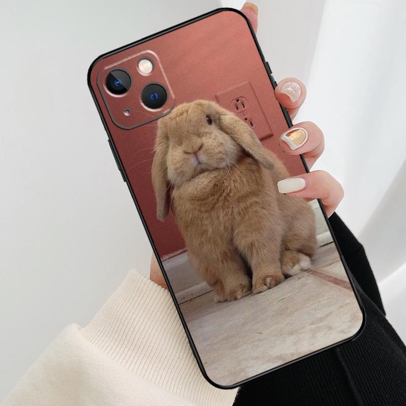 Чехол для телефона с кроликами для iPhone 17 Pro Max 14 13 12 11 15 16 Pro Max mini 16 15 Plus 16e 17 Air