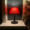 Настольная лампа – современный минималистичный дизайн, сменные цвета абажура, черное основание