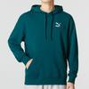 PUMA Sweatshirts Men's Peacock Green Hooded Moderate Regular 537849-24