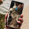 Для Xiaomi Redmi Note 8 2021 / 8T Задняя крышка Силиконовый чехол для телефона Для Redmi Note 8T Note8T 8 T Funda Note8 Pro Coque Бамперный чехол