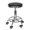 NuannZhiYuan Rotating Adjustable Lab Work Stool