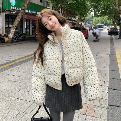 Зимняя Новая Корейская Свободная Куртка с Толстой Теплой Подкладкой и Воротником-стойкой