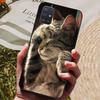 Для Samsung Galaxy A31 A51 A71 Чехол Силиконовая Задняя Крышка Чехол для Телефона Для Samsung A51 A71 A31 A315 A515 A715 Мягкий Чехол бампер coque