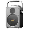 Портативная уличная Bluetooth-колонка для караоке Malata M+9255, штекер CN (адаптер в комплекте)