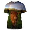 Bohemian Style Polyester T-shirt Men's 3D Stretch T-shirt Indian Design Couple Streetwear Fashion Apparel