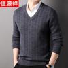 Hengyuanxiang Men's Thickened 100% V-Neck Wool Sweater