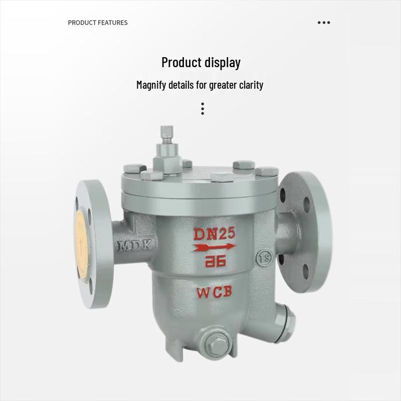 ZISIZ DN20 Фланцевая чугунная конденсатоотводчик