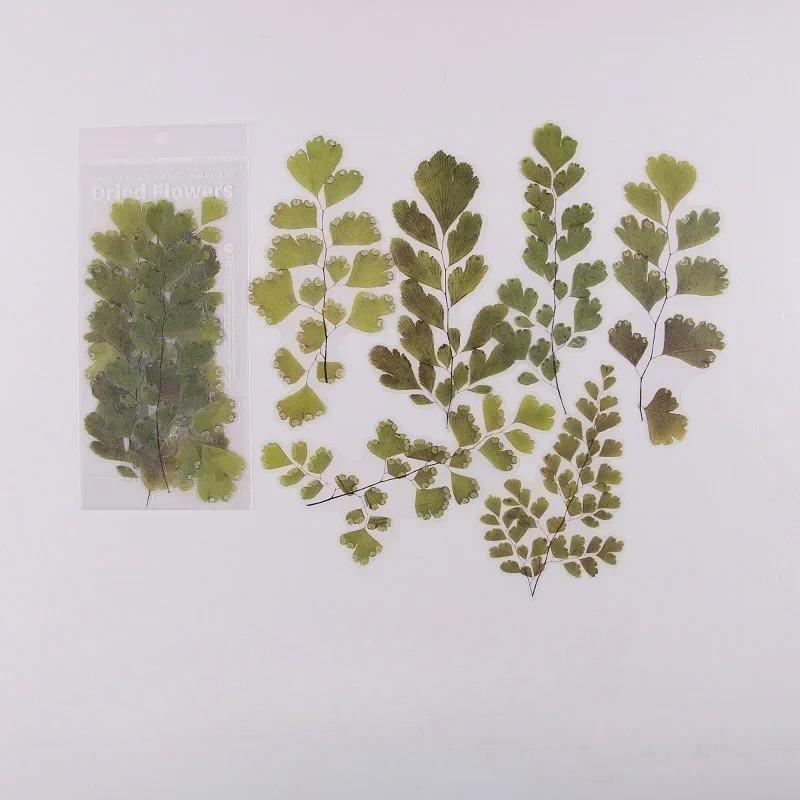 6 шт. Винтажные наклейки из ПЭТ с сухоцветами, декоративные, для дневника, рукоделия, скрапбукинга, планера, журнала, эстетичная канцелярия