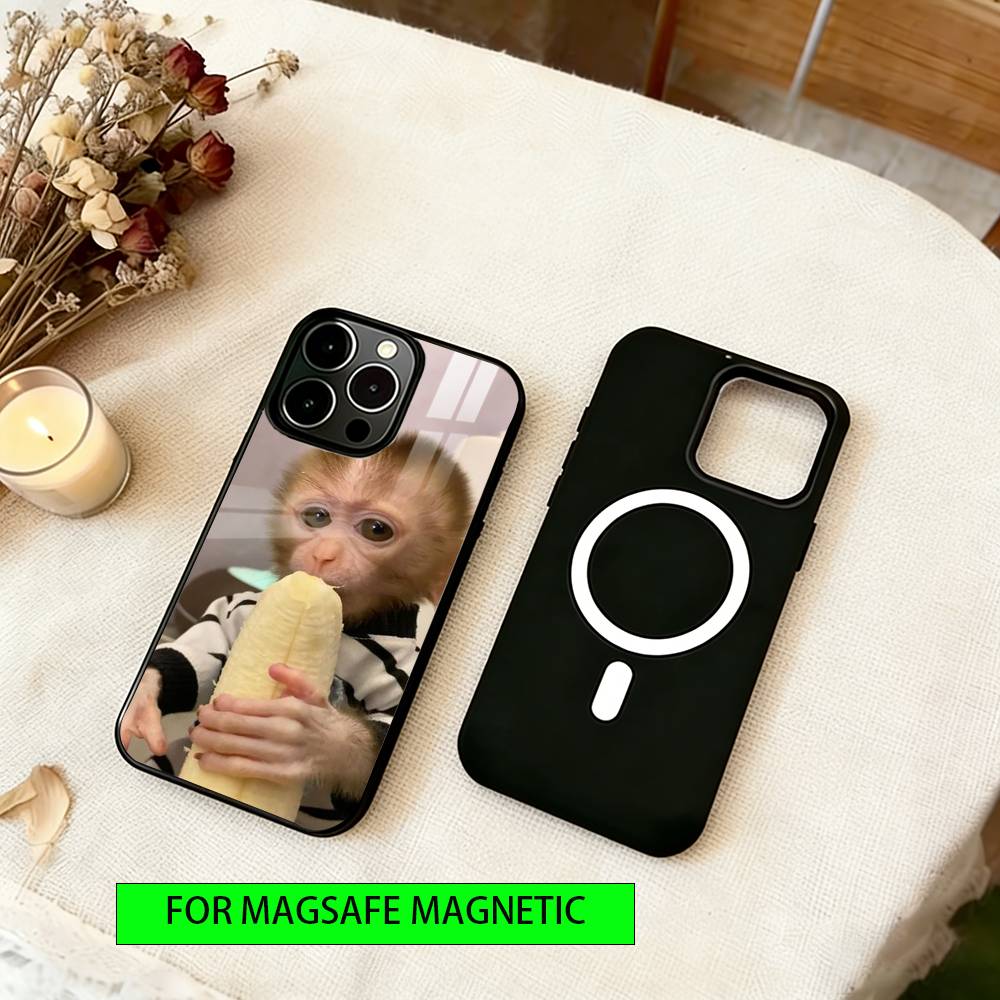 little monkey Phone Case For iPhone17,16,15,14,13,12,11 Plus,Pro Magnetic For Magsafe Wireless Charging