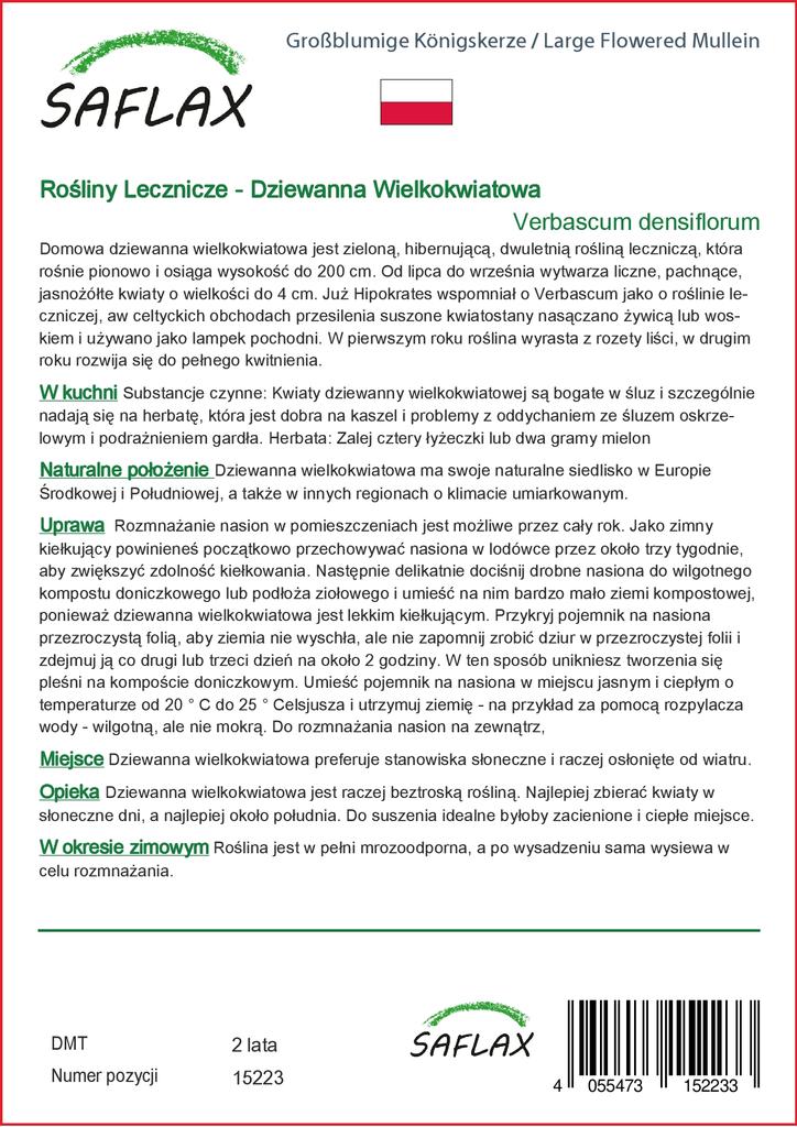 SAFLAX Garden in the Bag - Коровяк крупноцветковый - 500 семян - С субстратом в подходящем мешке - Verbascum densiflorum