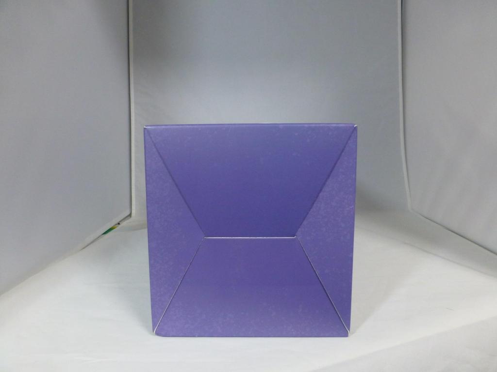 Sister Standard Scale PVC ABS Complete Figure Petronille, Edition, 1/6 & [Viblaster] [Adult]