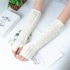 Women's Long Fingerless Gloves Winter Punk Warm Oversleeves Knitted Half Finger Twist Arm Sleeve Mitten Keep Warm Arm Warmer