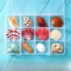 Shell conch, popular science materials, specimens, snail storage set, gift box, kindergarten marine life collection